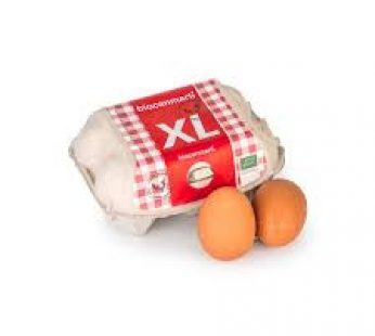 Huevos granel XL (doc)
