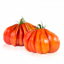 Tomate corazón de buey