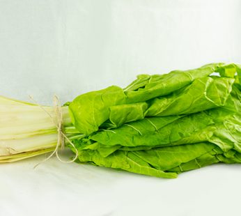 MANOJO DE ACELGAS