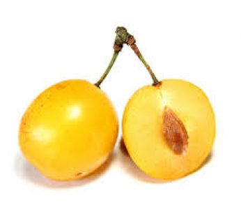 CIRUELA BLANCA