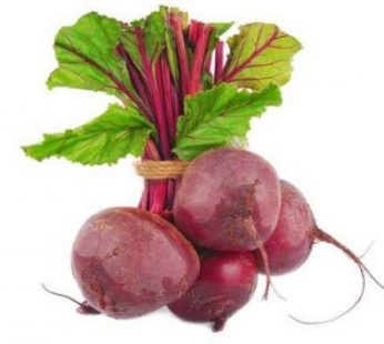 MANOJO DE REMOLACHA SEGOVIANA
