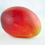 MANGO AVIÓN / und