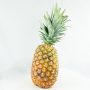PIÑA AVIÓN GOLD