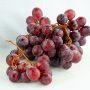 UVAS TEMPORADA