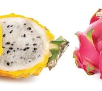 PITAHAYA
