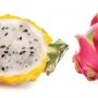PITAHAYA