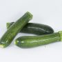 MINI CALABACIN