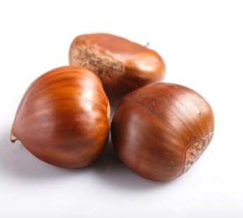 CASTAÑAS SIERRA DE SAN VICENTE