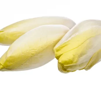 ENDIVIAS