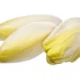 ENDIVIAS