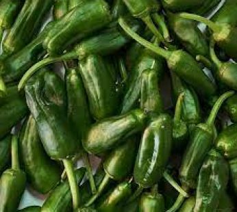 PIMIENTO DEL PADRÓN GALLEGO