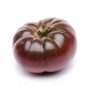TOMATE MAR AZUL