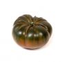 Tomate pitako