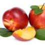 NECTARINA