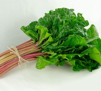 ACELGA ROJA