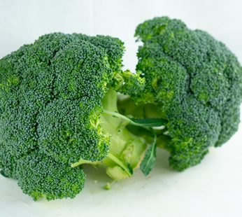 BRÓCOLI