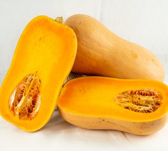 CALABAZA VIOLIN