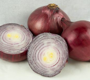 CEBOLLA MORADA