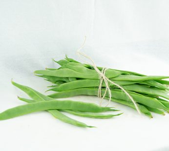 JUDÍAS VERDES EXTRA