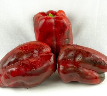 PIMIENTO ROJO DE ASAR