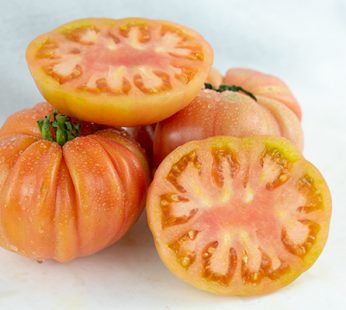 TOMATE ROSA