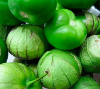 TOMATILLO