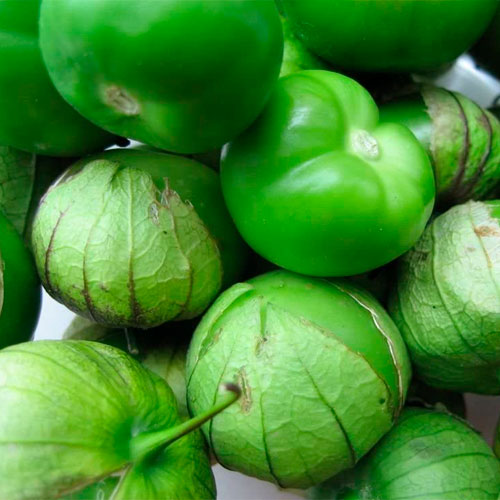 TOMATILLO